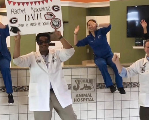 Sugar Hill Animal Hospital celebrates UGA Grads